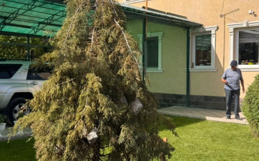 Купить квартиру Бишкек