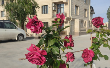  Агентство недвижимости