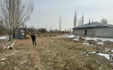  Агентство недвижимости