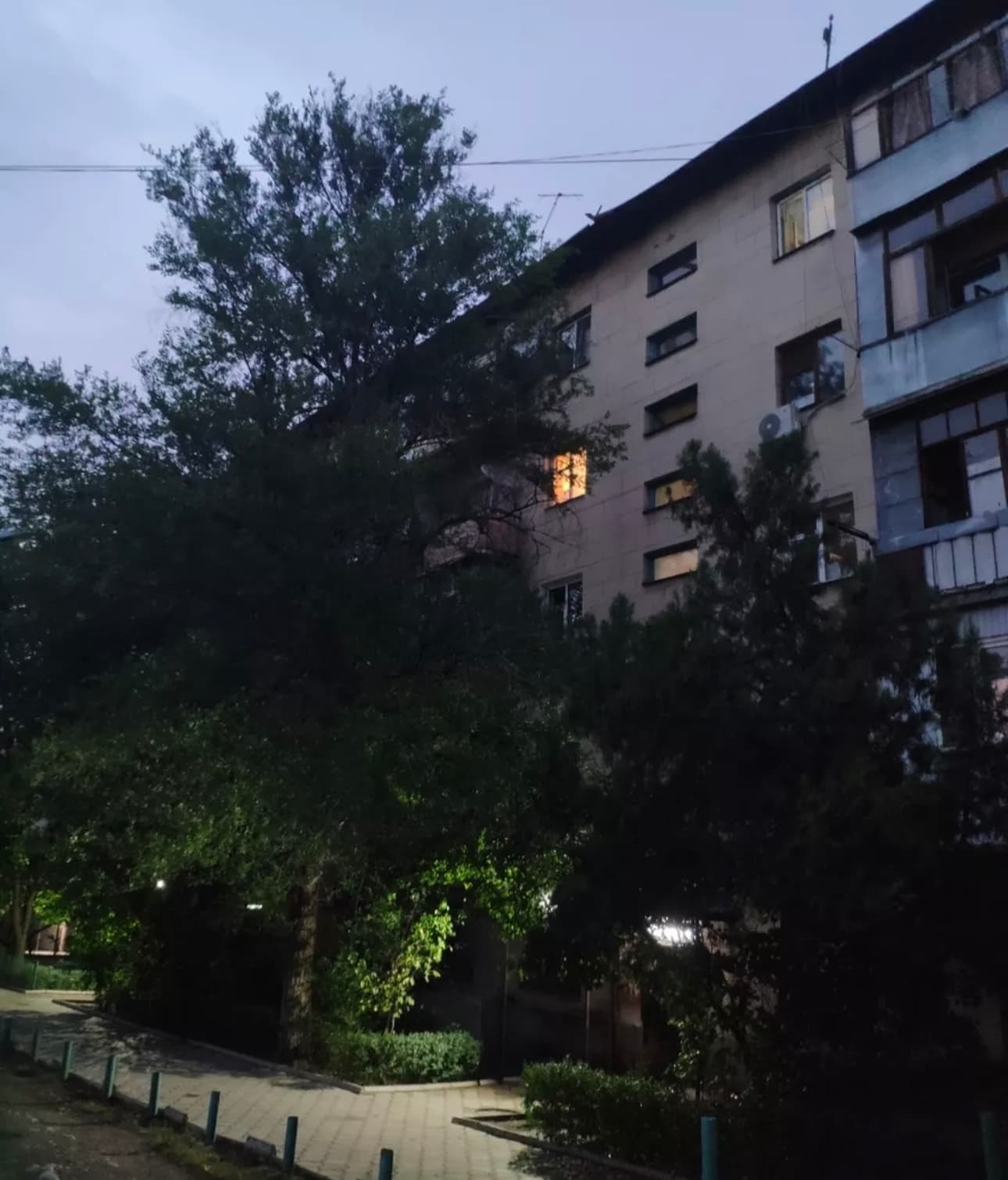 Миниатюра 2