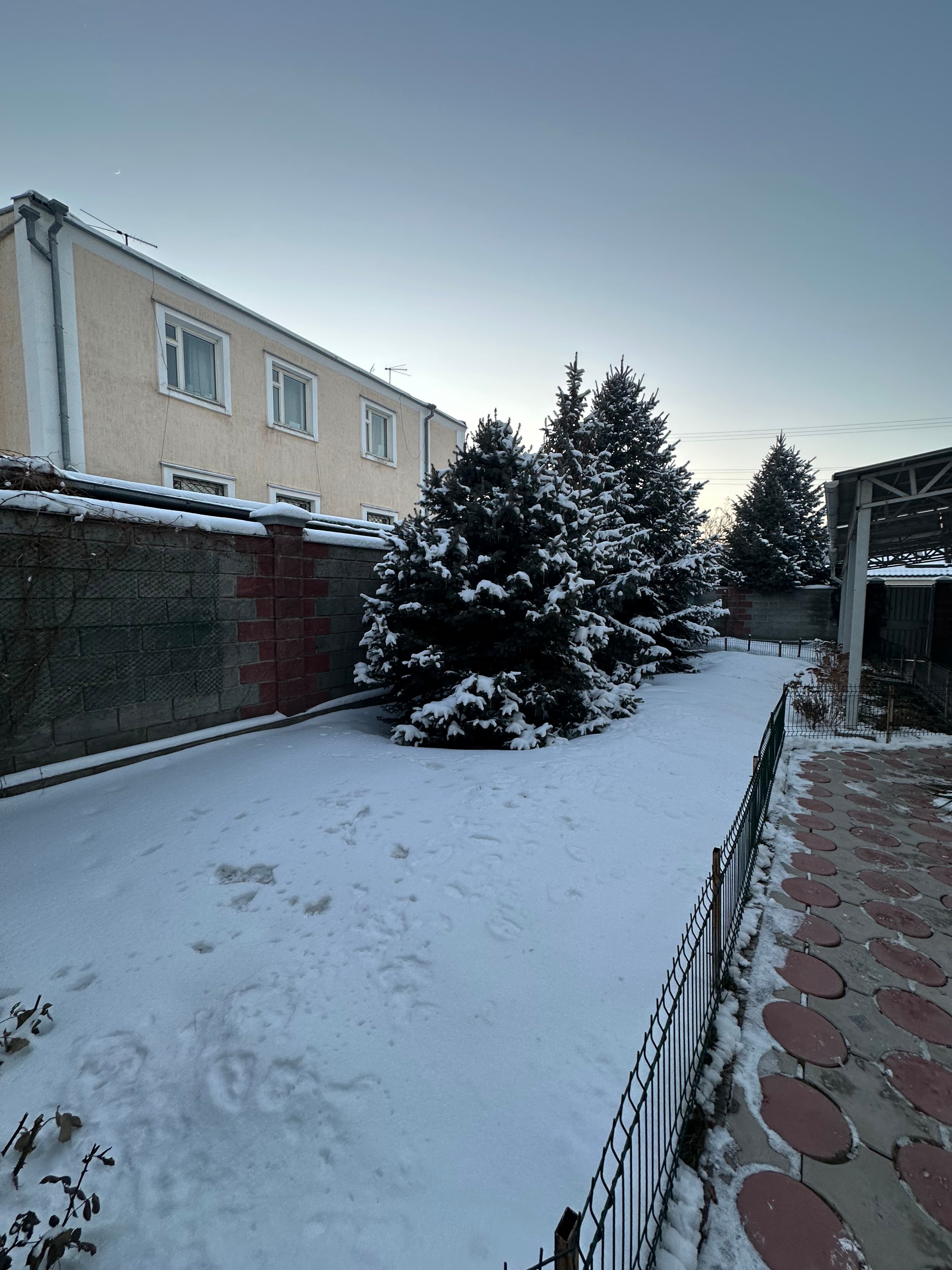 Миниатюра 4