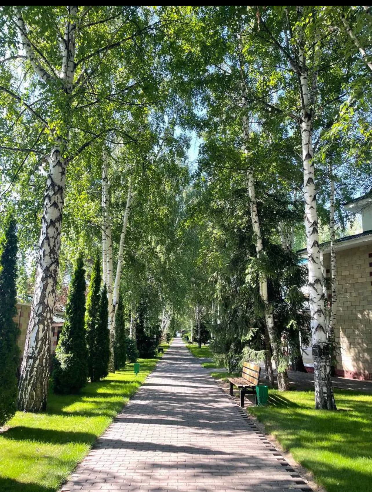 Миниатюра 8