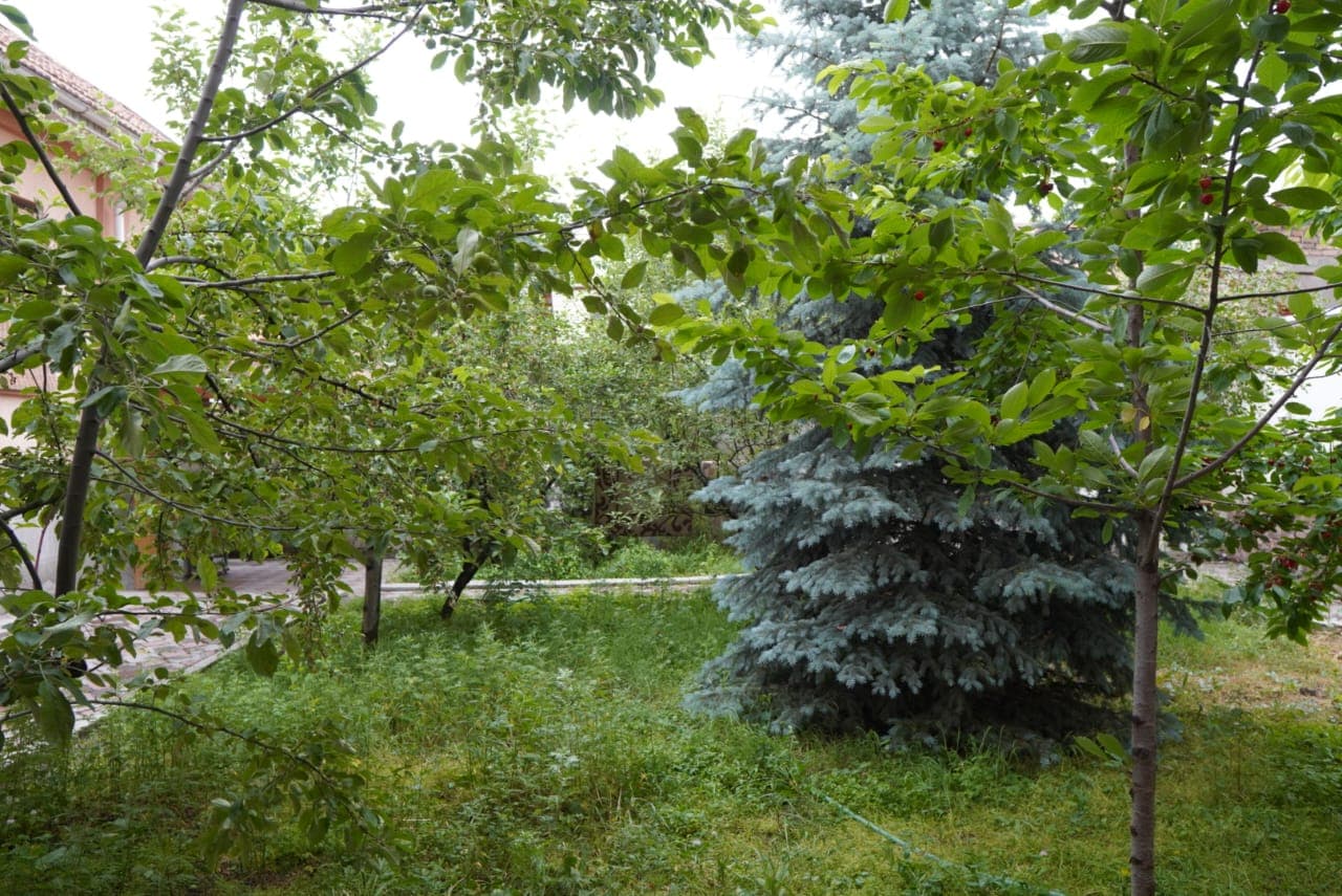 Миниатюра 5