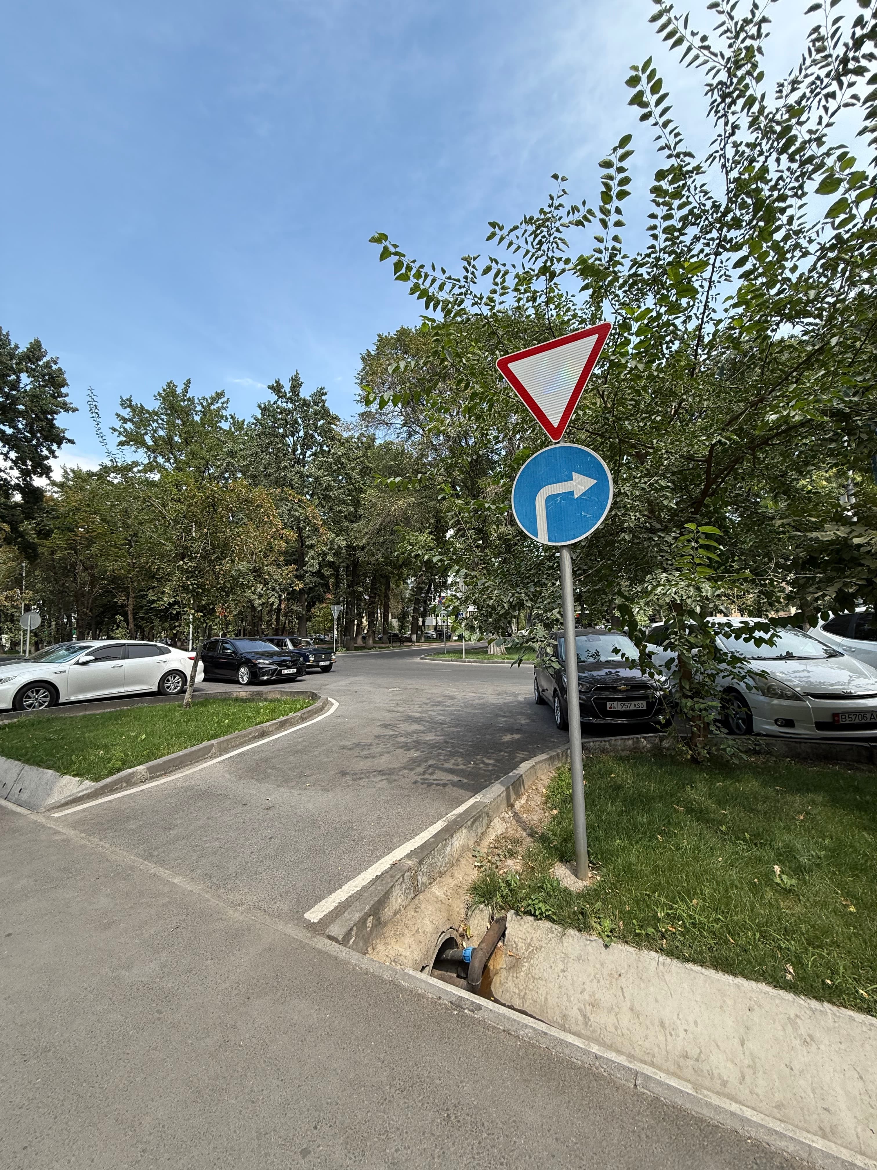 Миниатюра 6