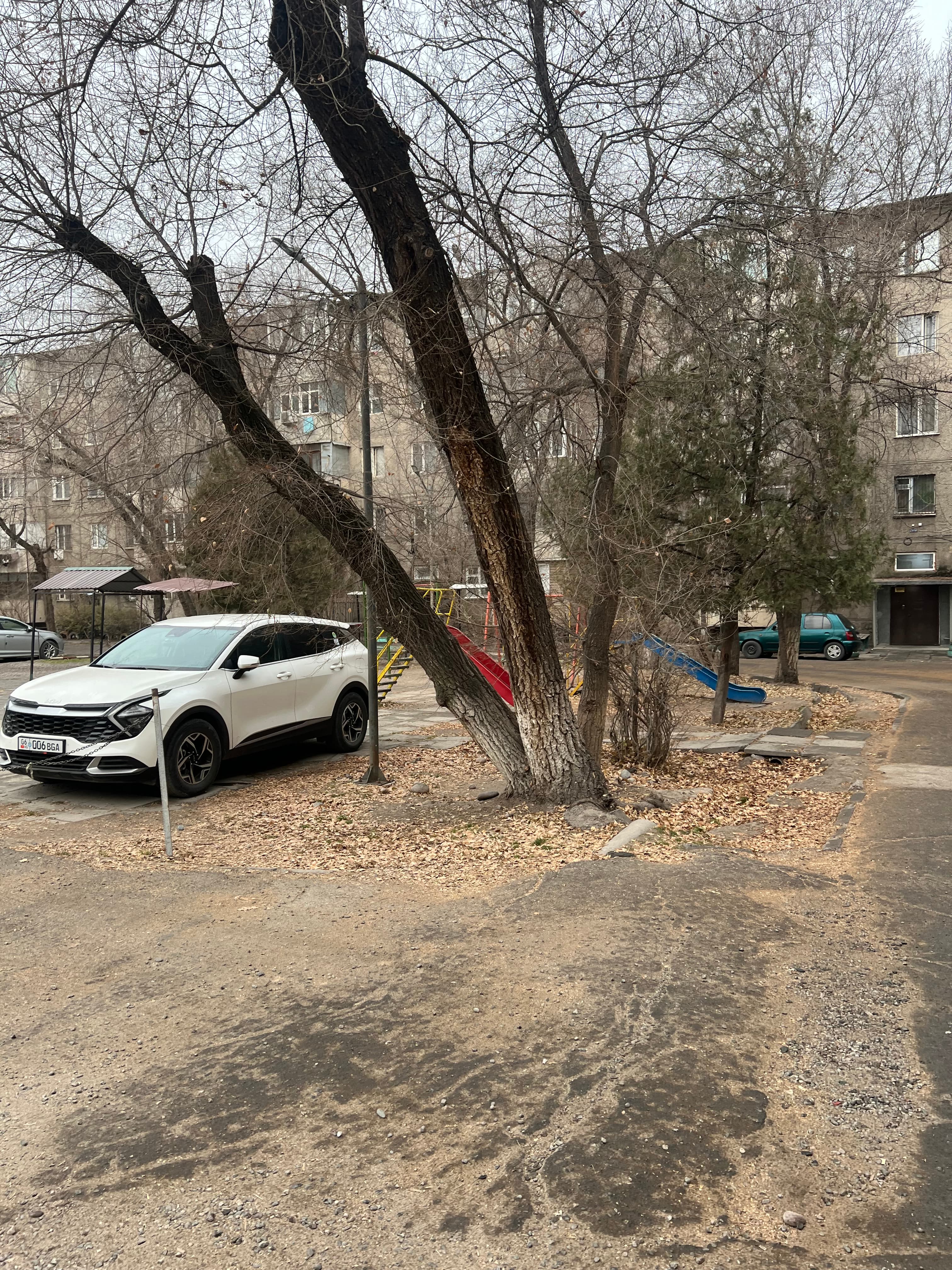 Миниатюра 8