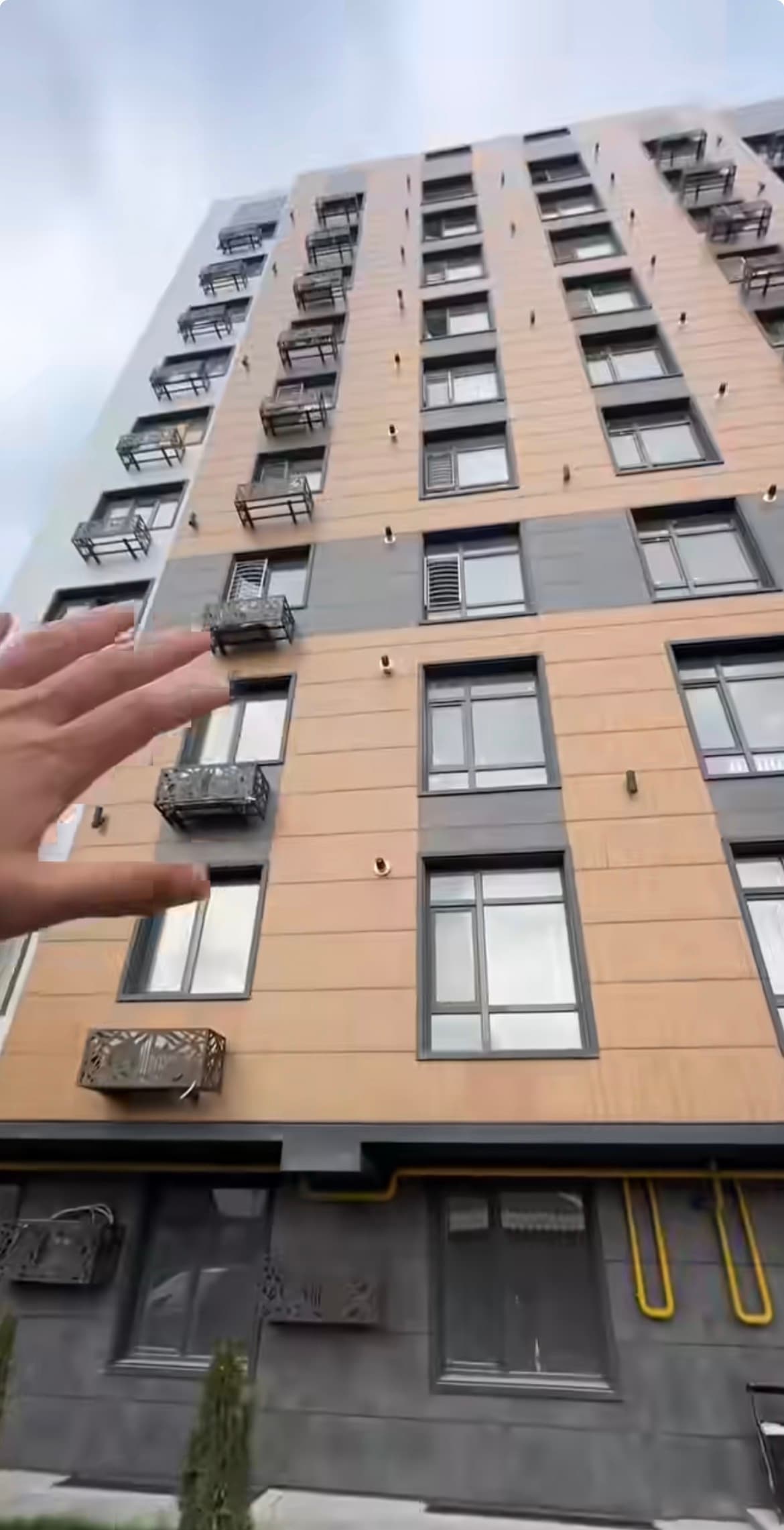 Миниатюра 5