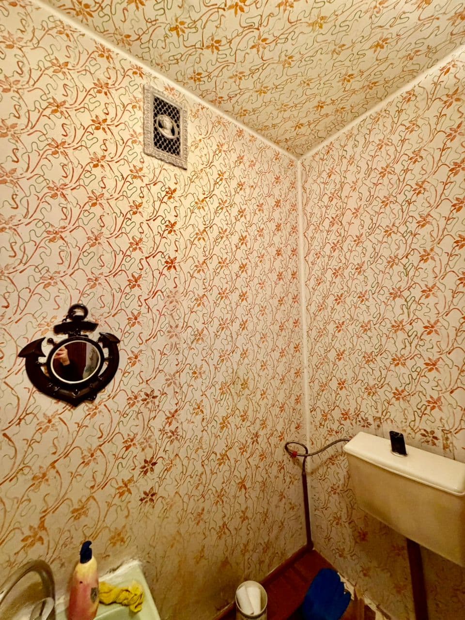 Миниатюра 6