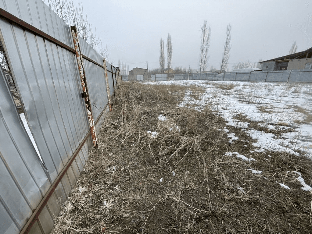 Миниатюра 6