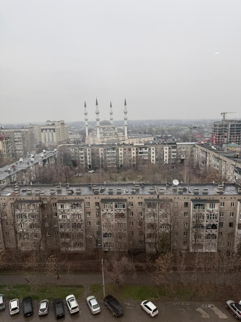 Миниатюра 3