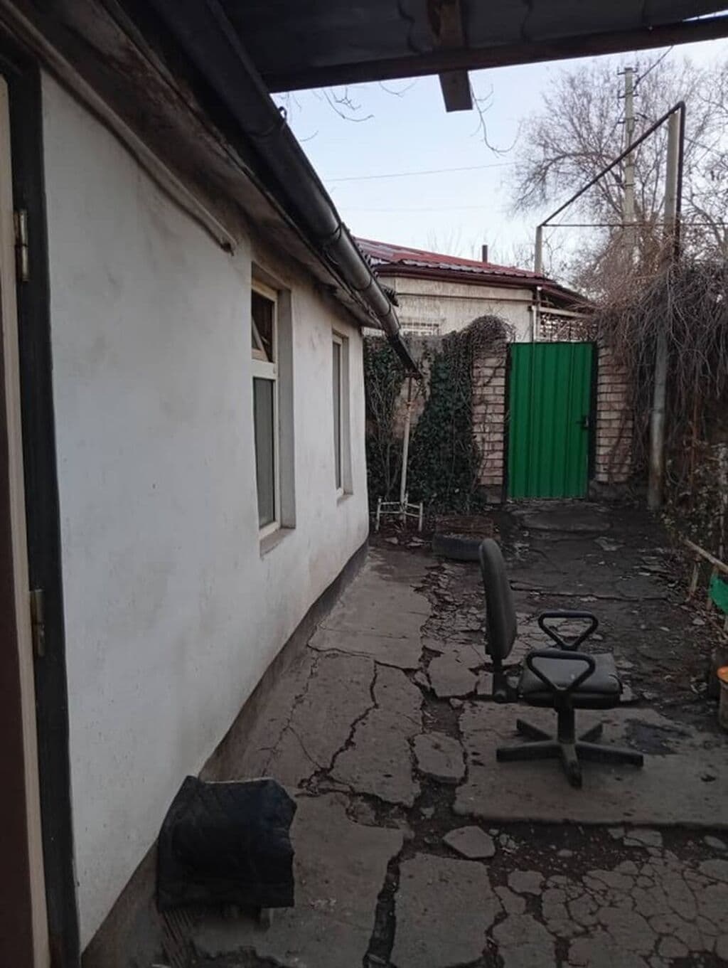 Миниатюра 1