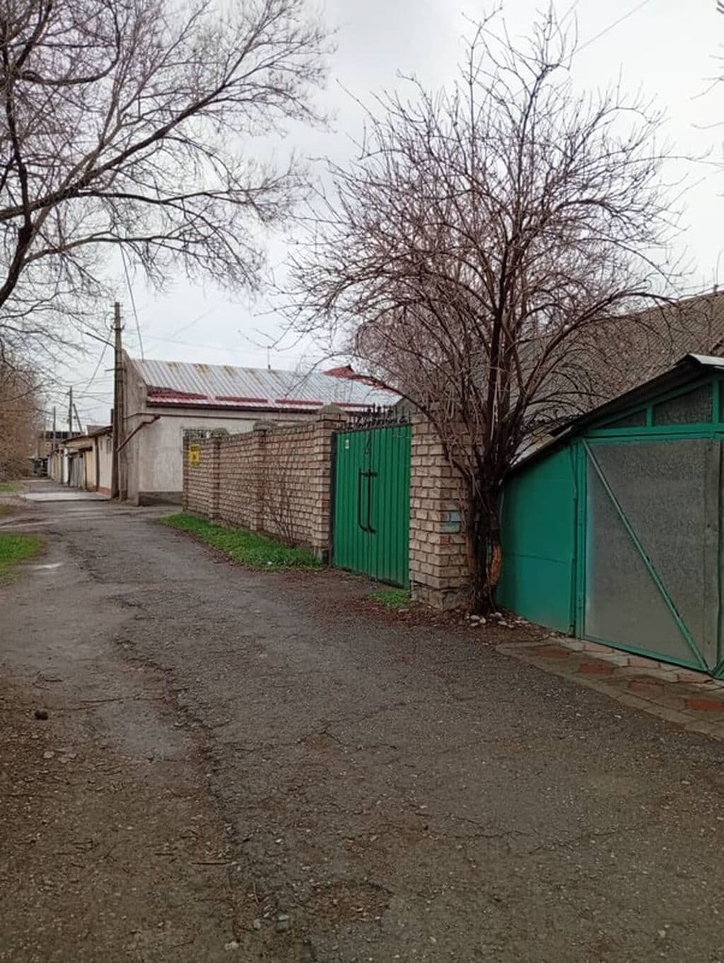 Миниатюра 3
