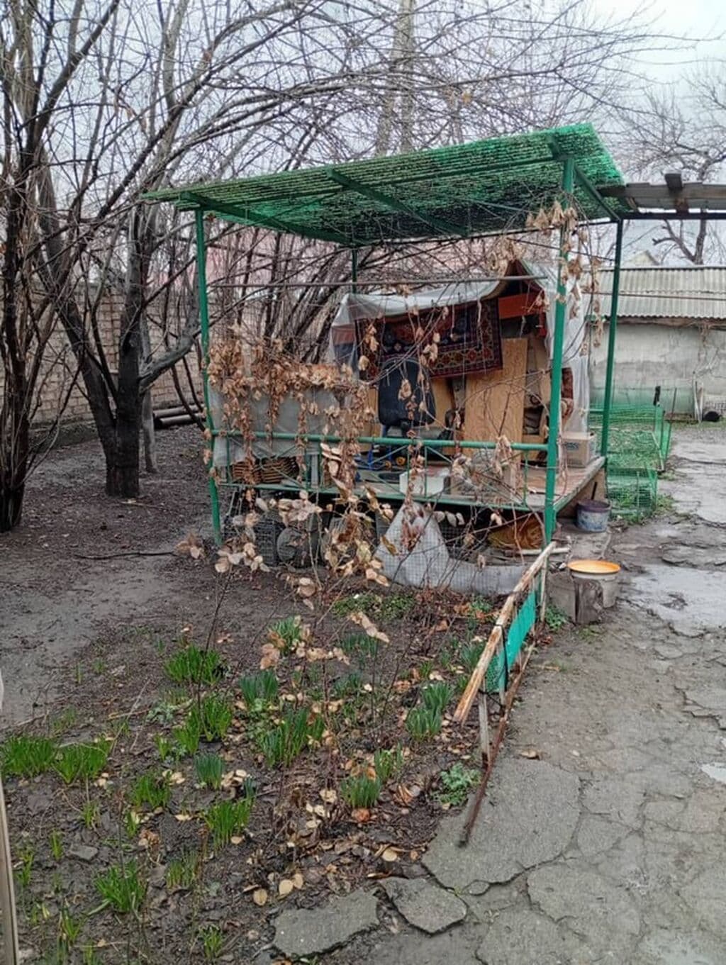 Миниатюра 4
