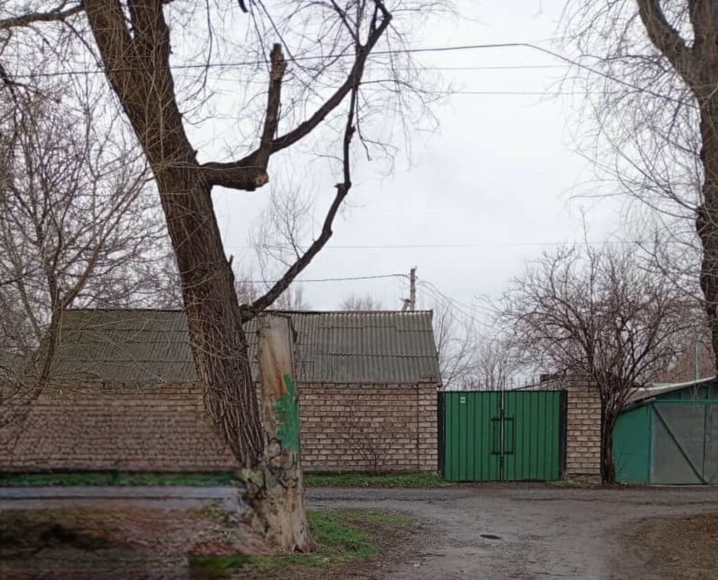 Миниатюра 6