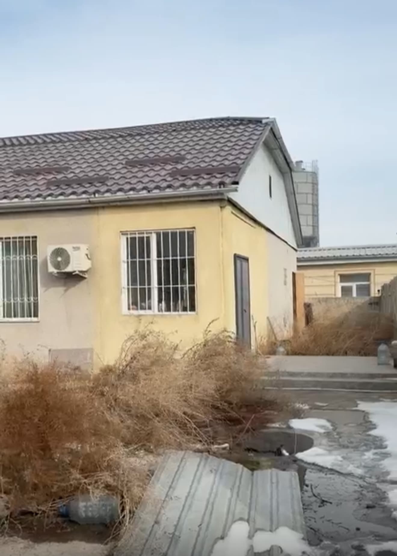 Миниатюра 4
