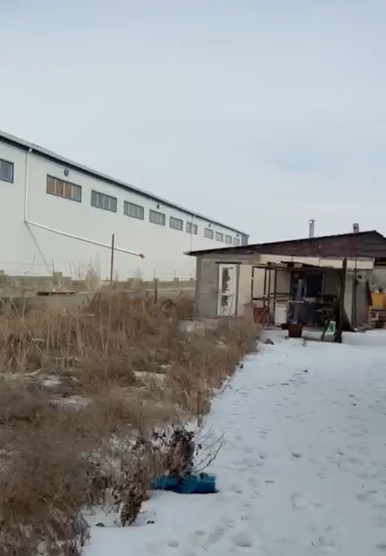 Миниатюра 5