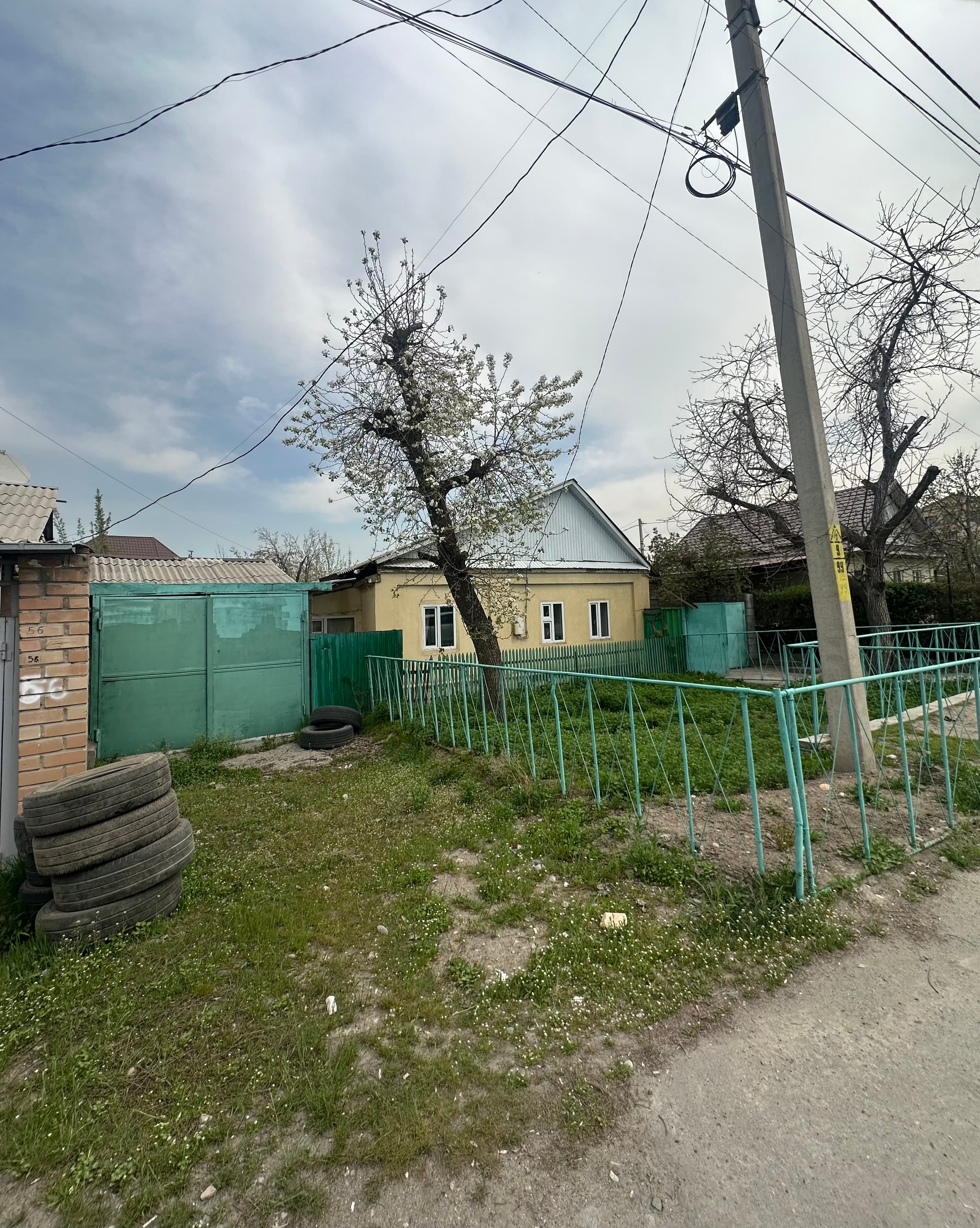 Миниатюра 1