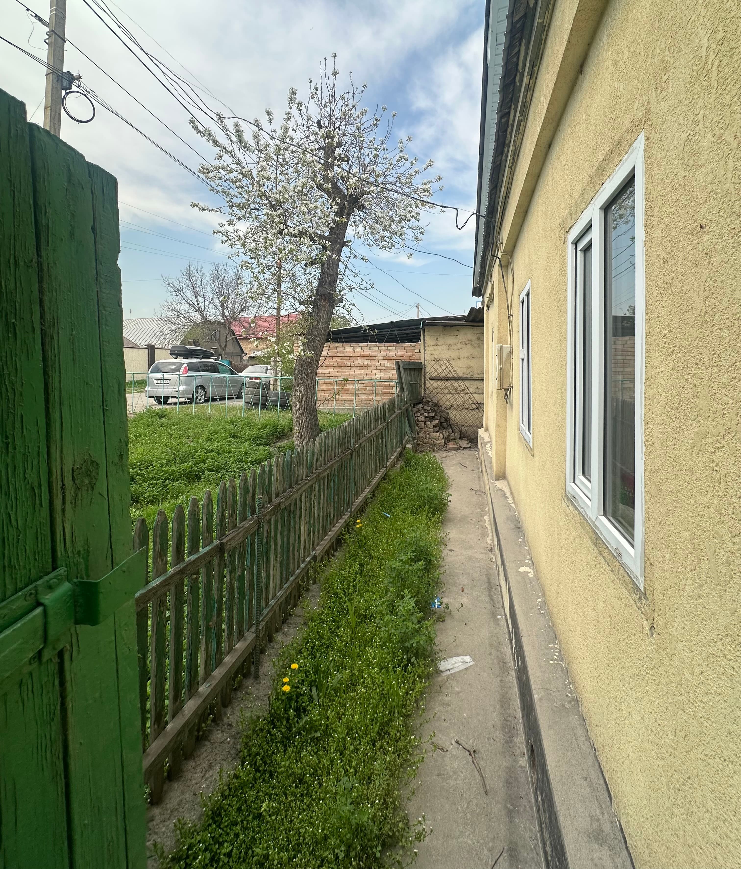 Миниатюра 4