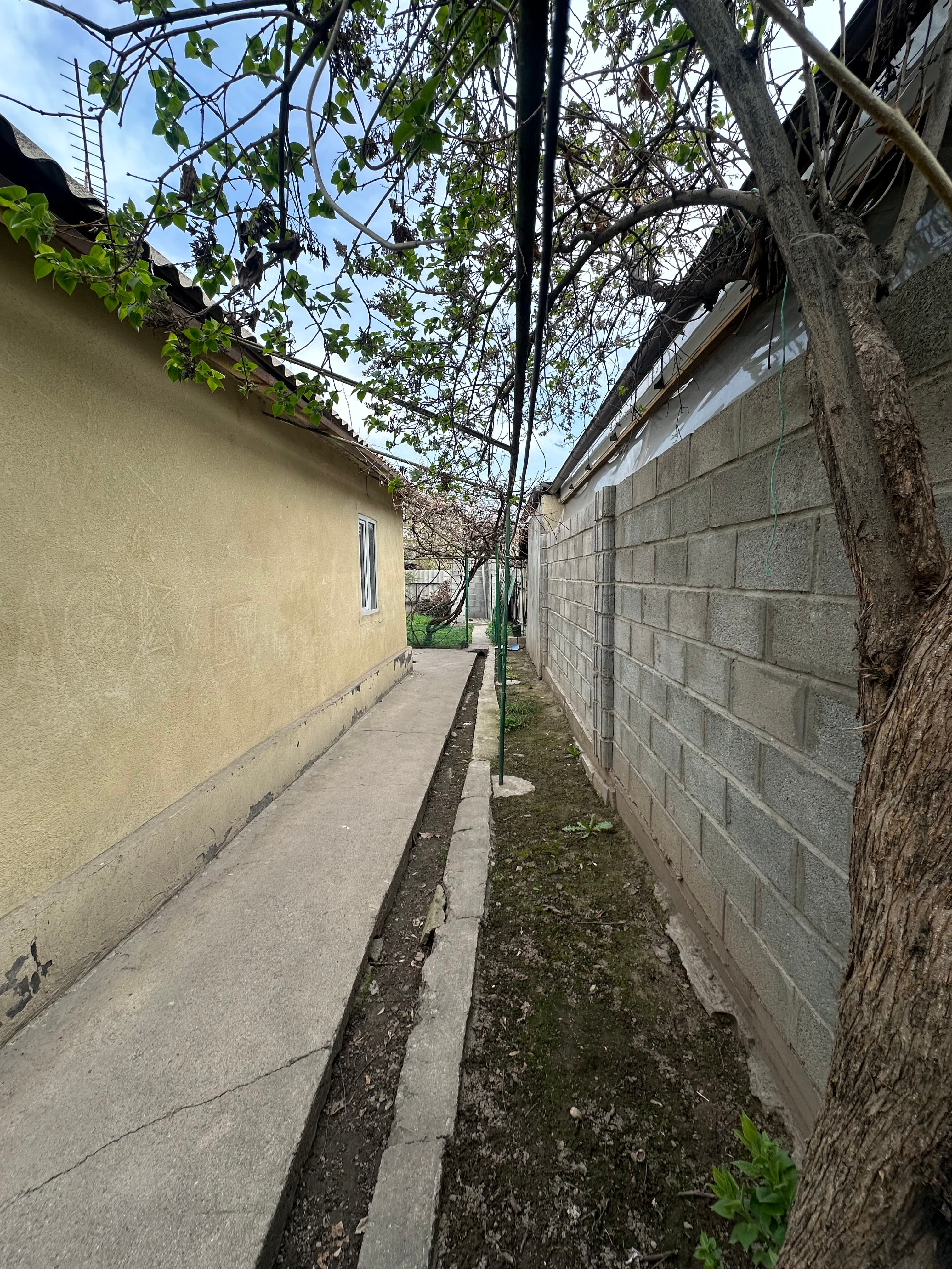 Миниатюра 5