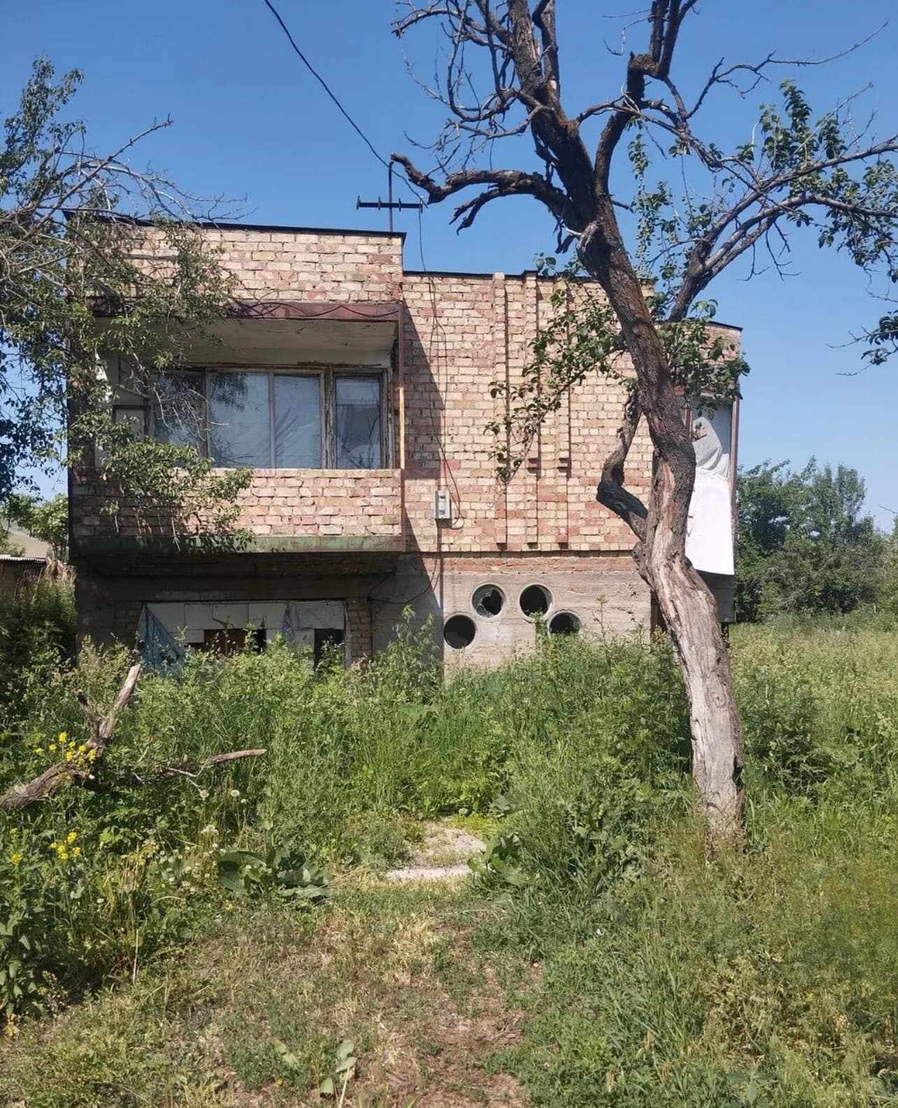Миниатюра 3