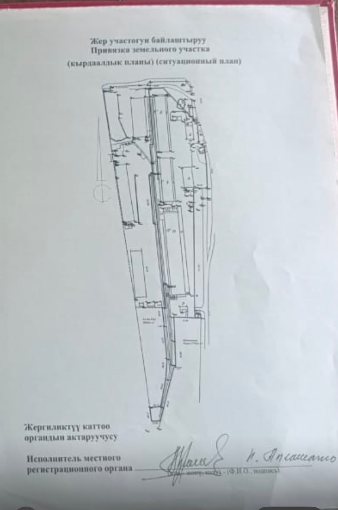 Миниатюра 4