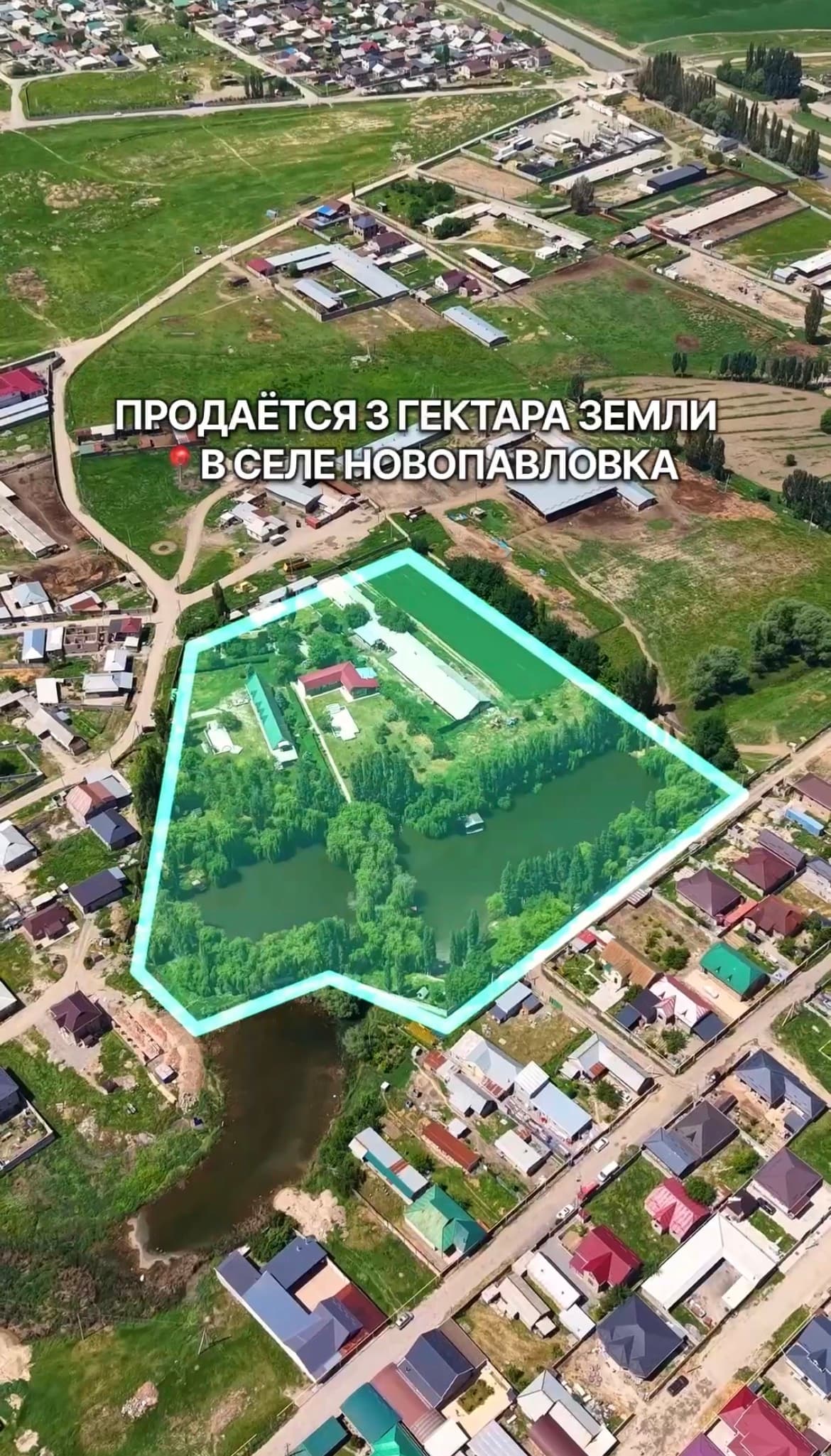 Продажа, Участок, 290 соток - фото 1