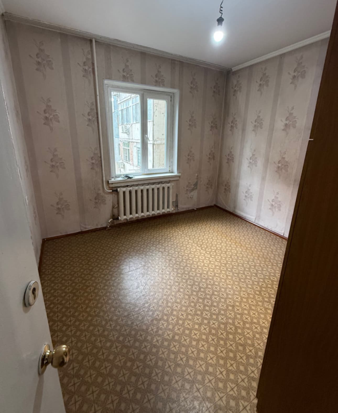 Миниатюра 5