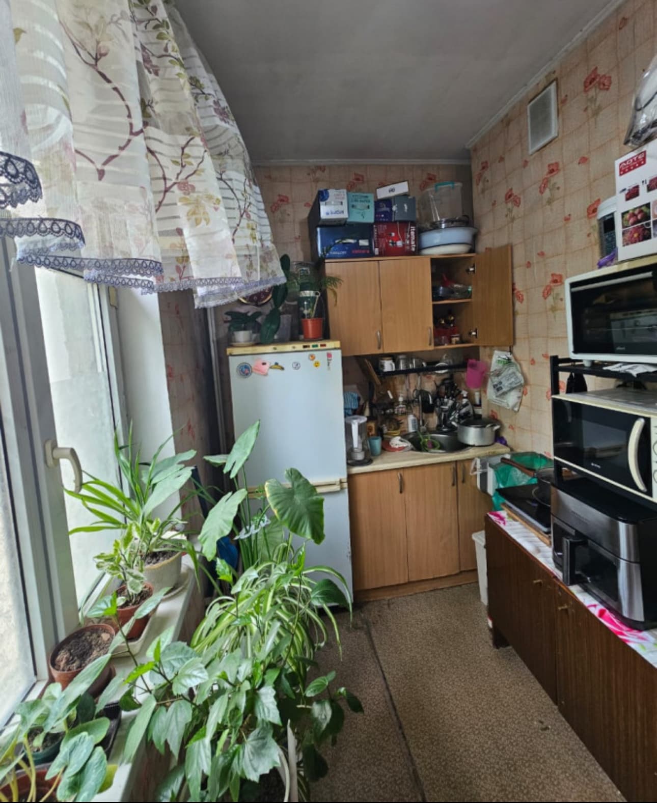 Миниатюра 5