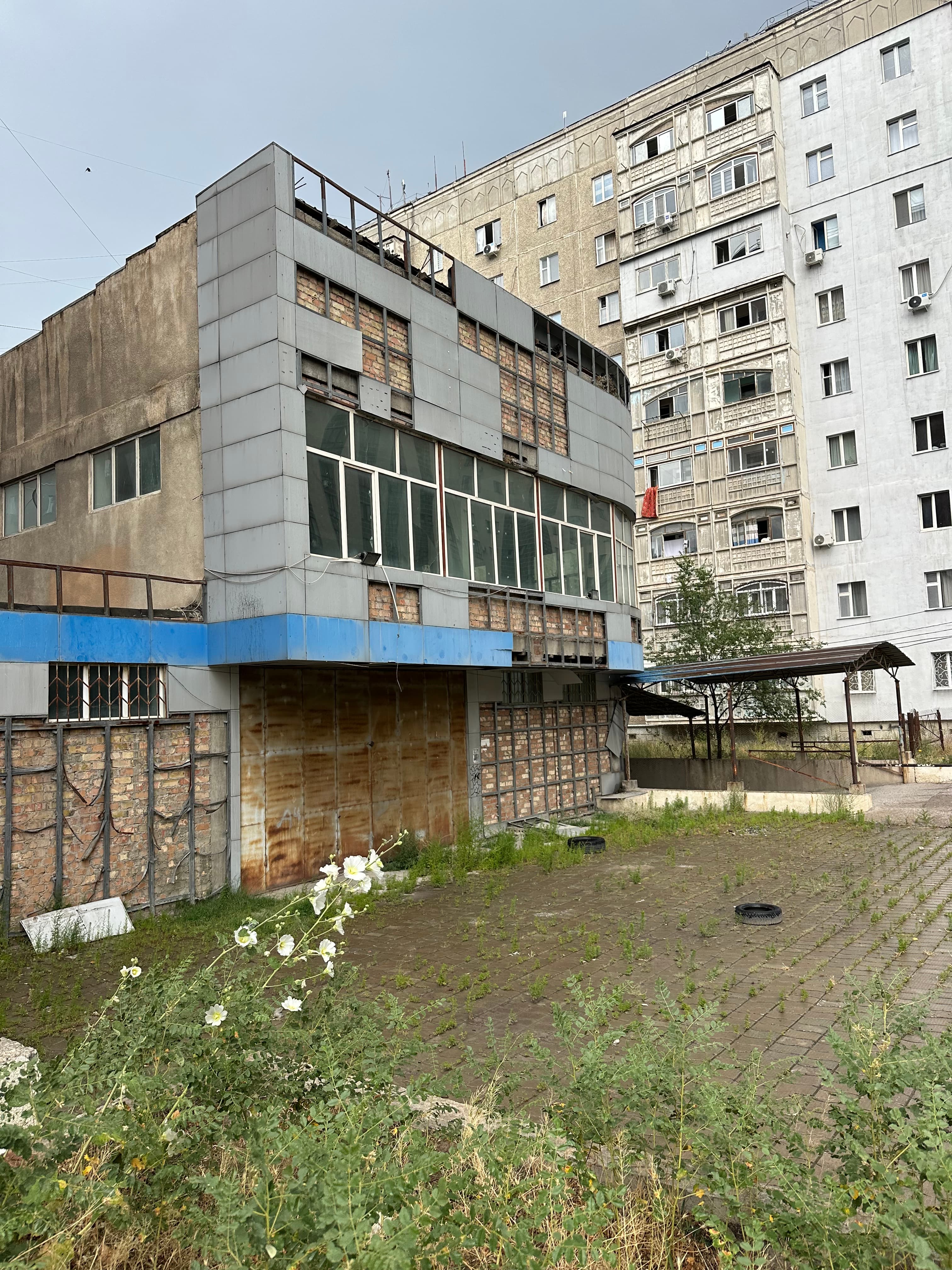 Миниатюра 3