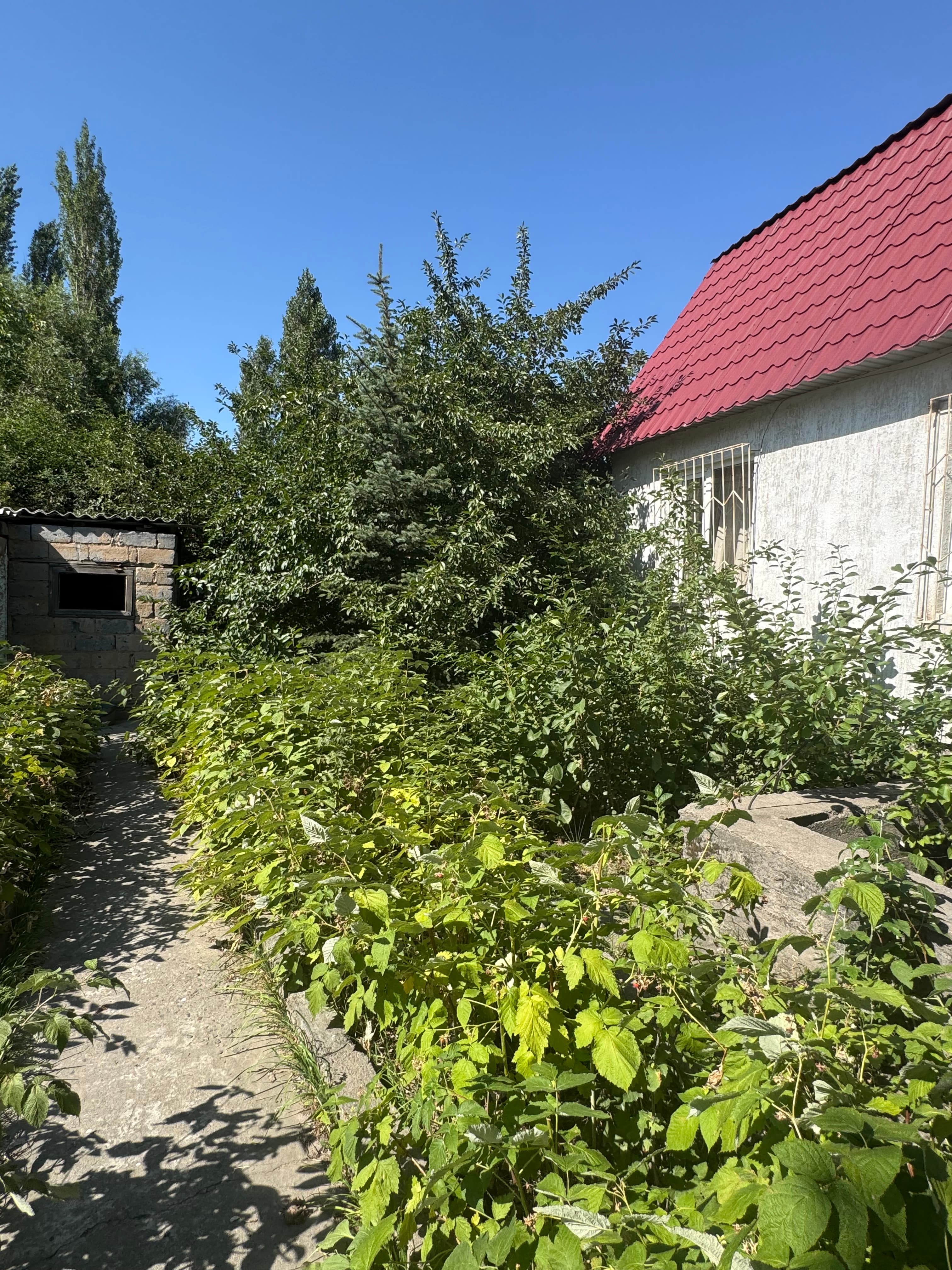 Миниатюра 3