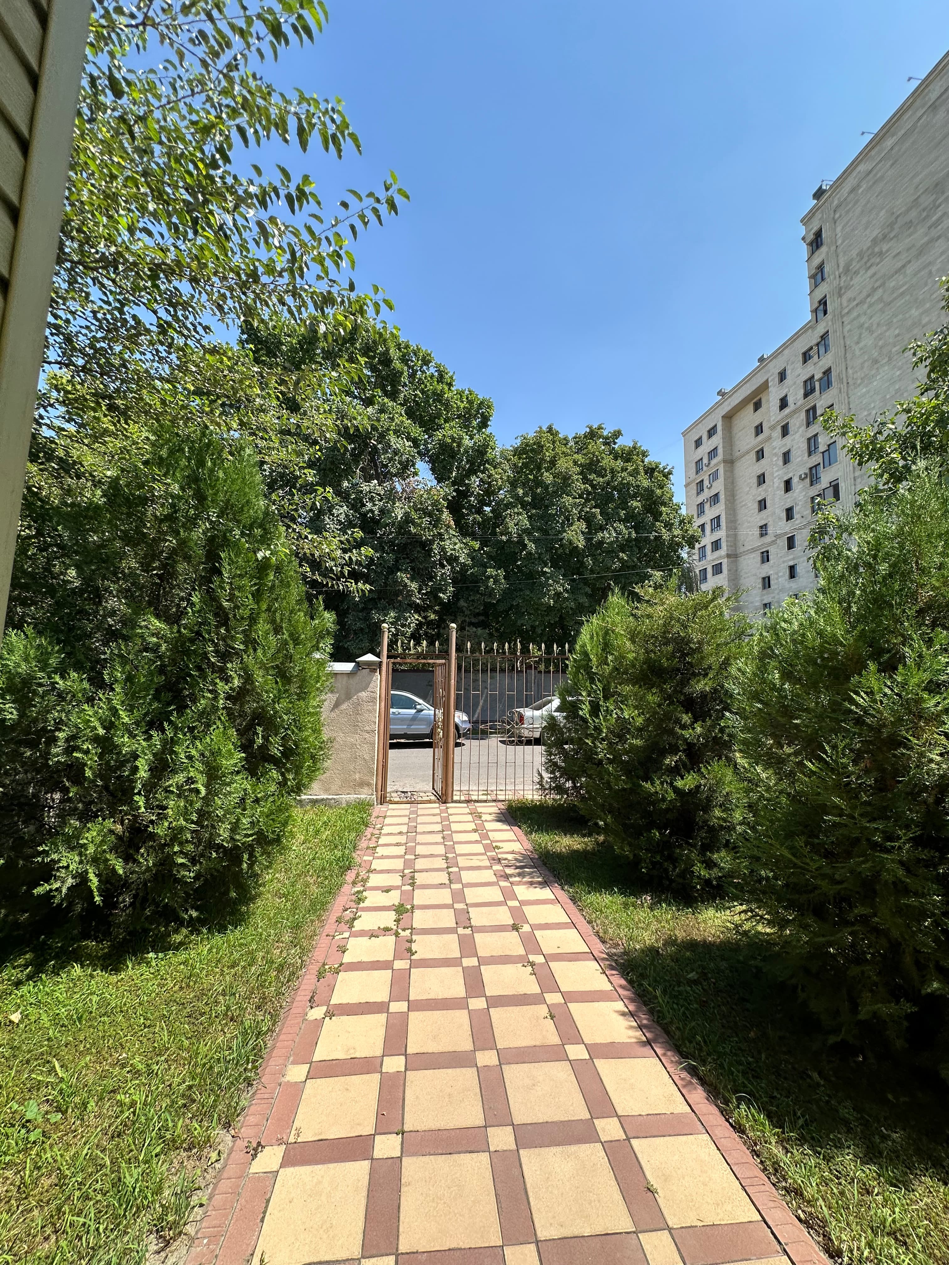 Миниатюра 2