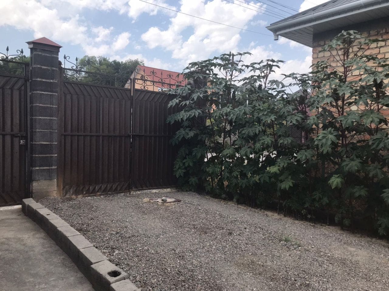 Миниатюра 8