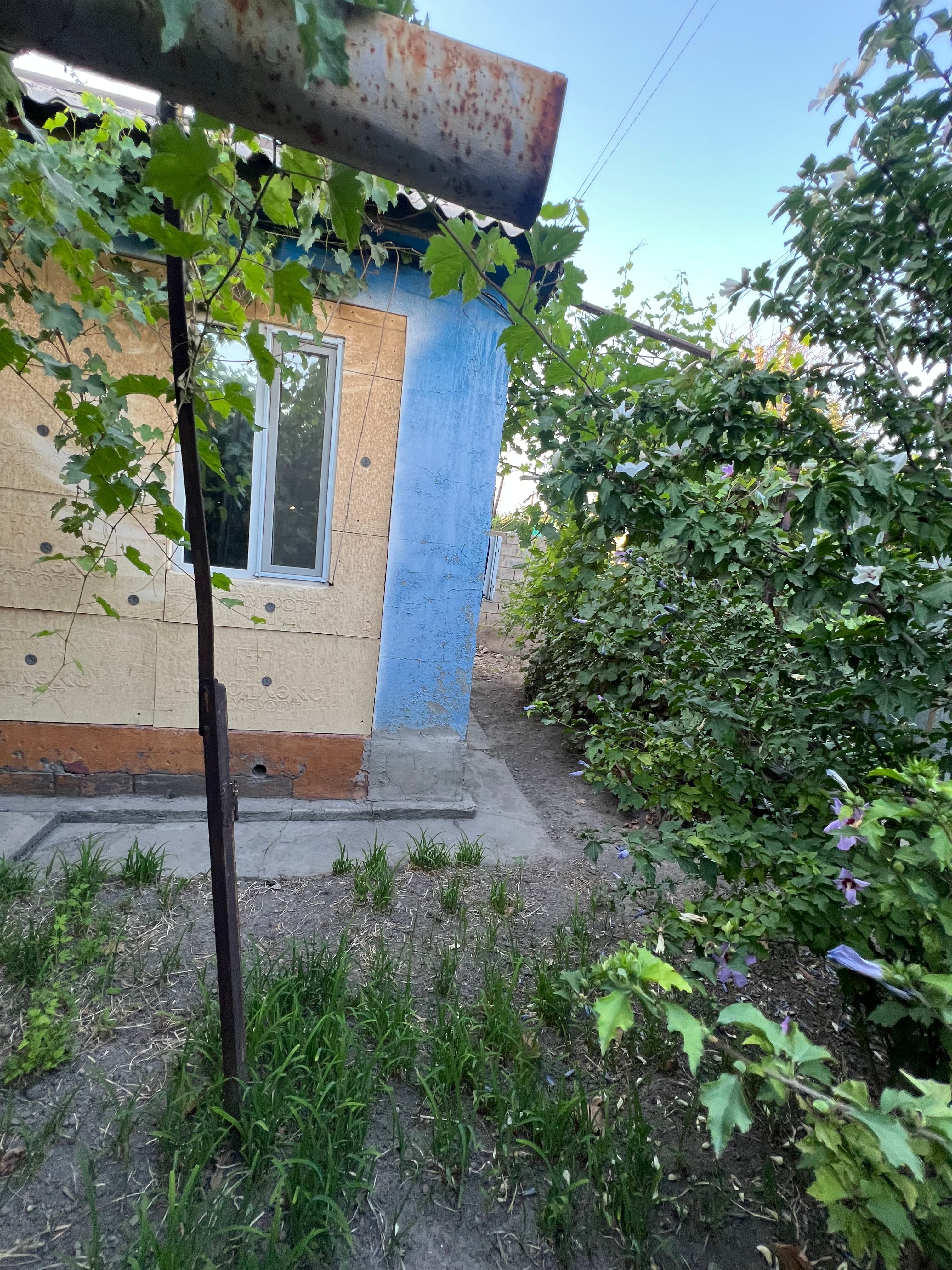 Участок - фото 12