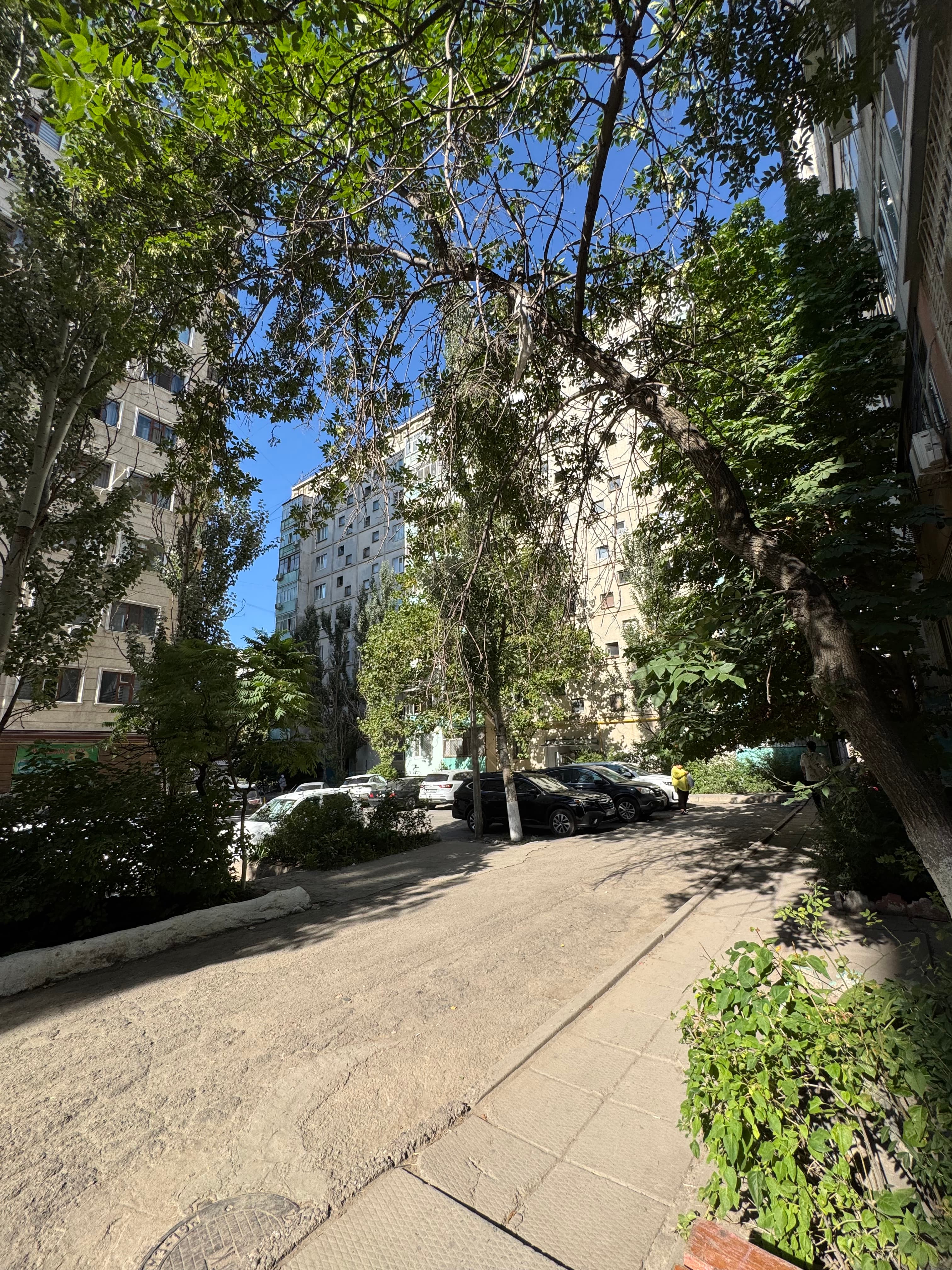 1 ком, 105 серия, 34 м2, этаж 9/9, Сост: Среднее - фото 4