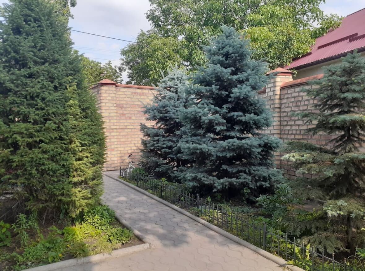 Миниатюра 2