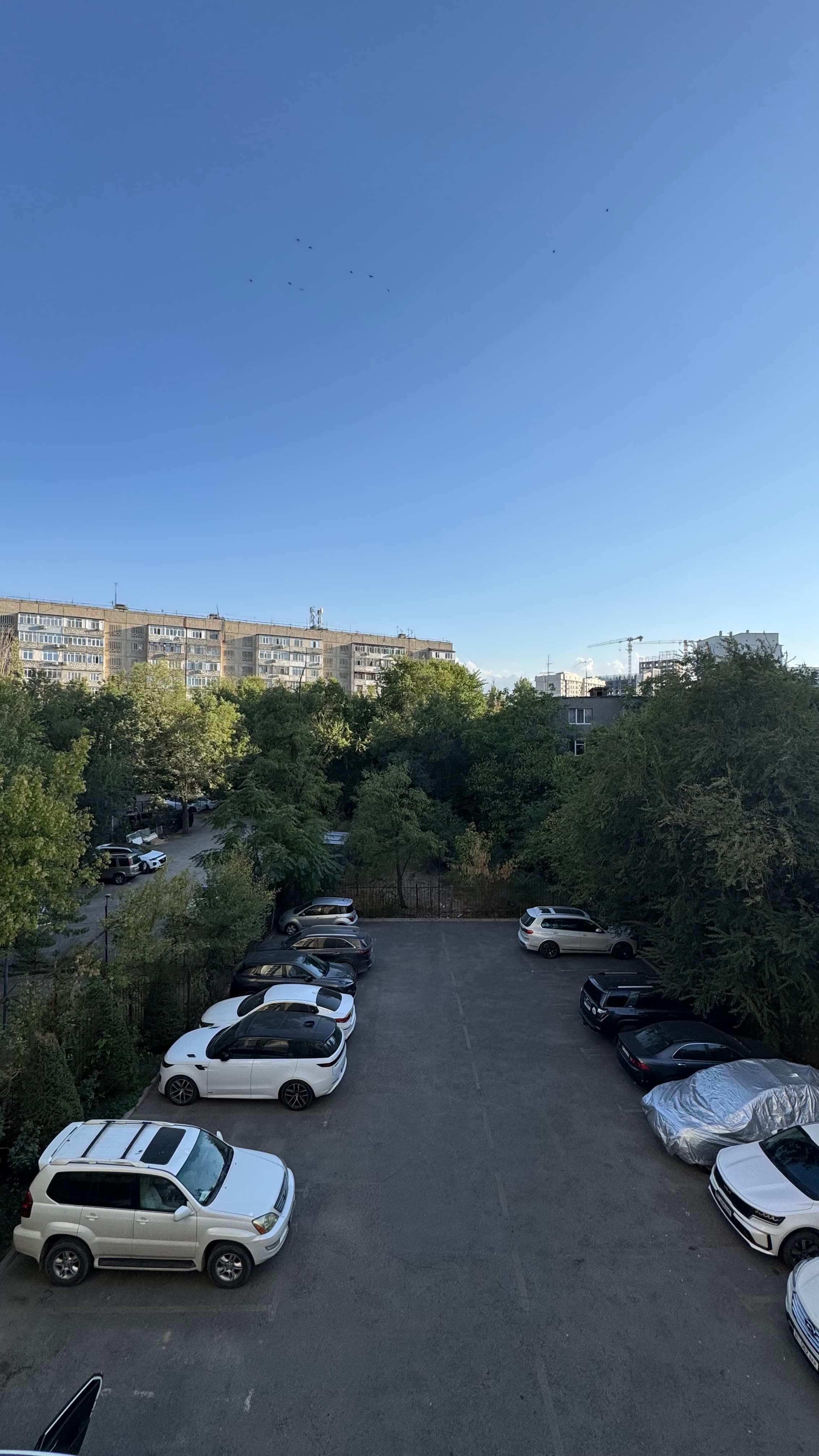 Элитка, 2 ком, 95 м2, этаж 3/9, Сост: Хорошее - фото 13