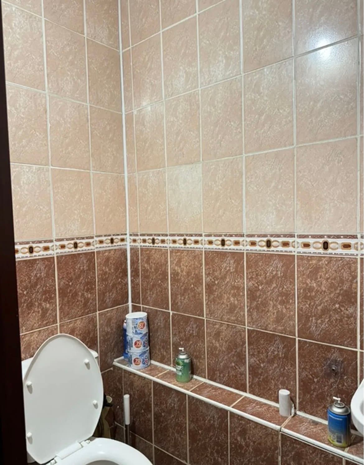 Миниатюра 8