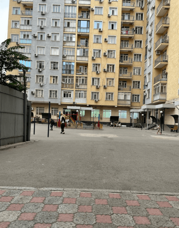 Миниатюра 5