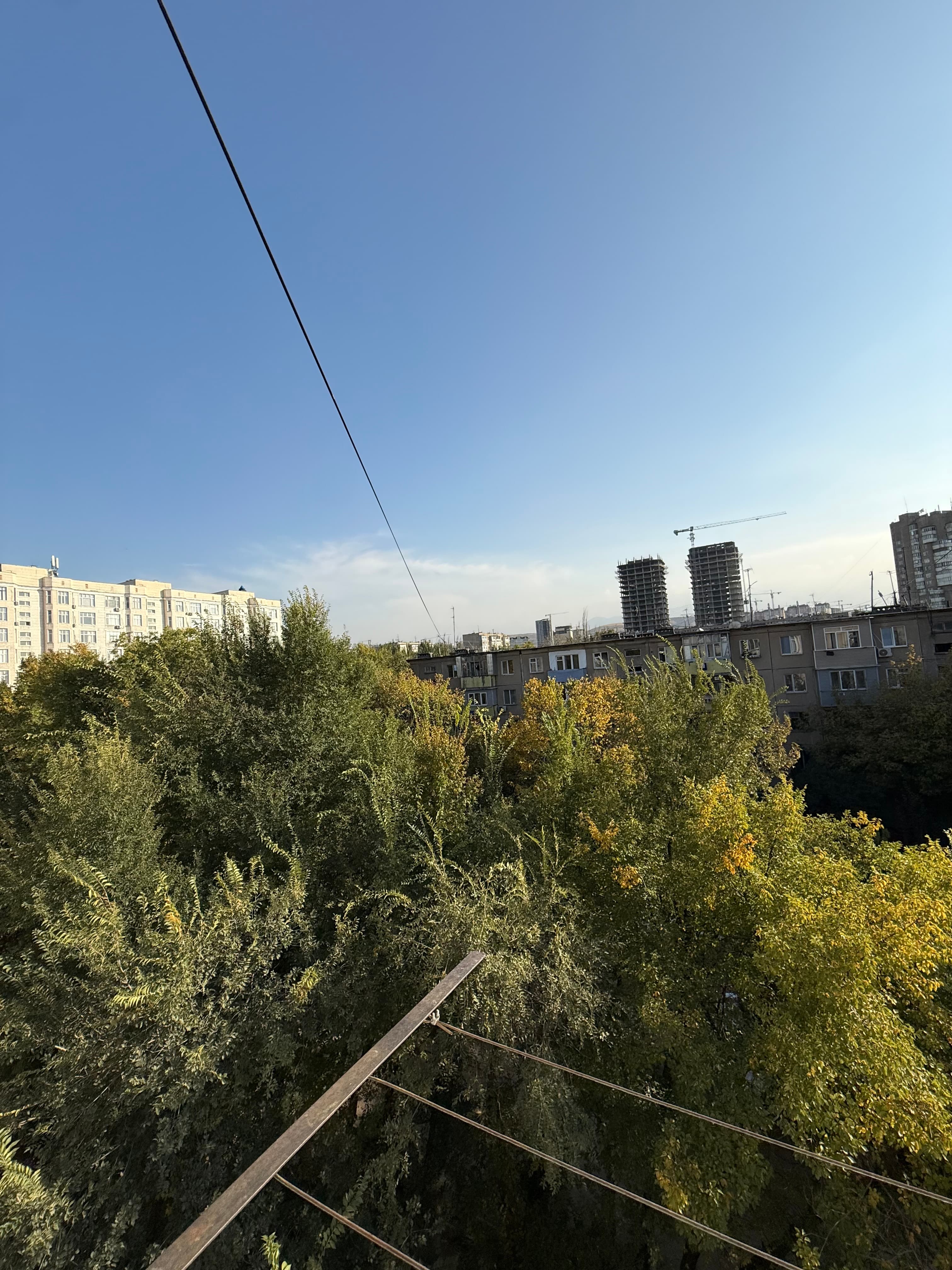 Миниатюра 8