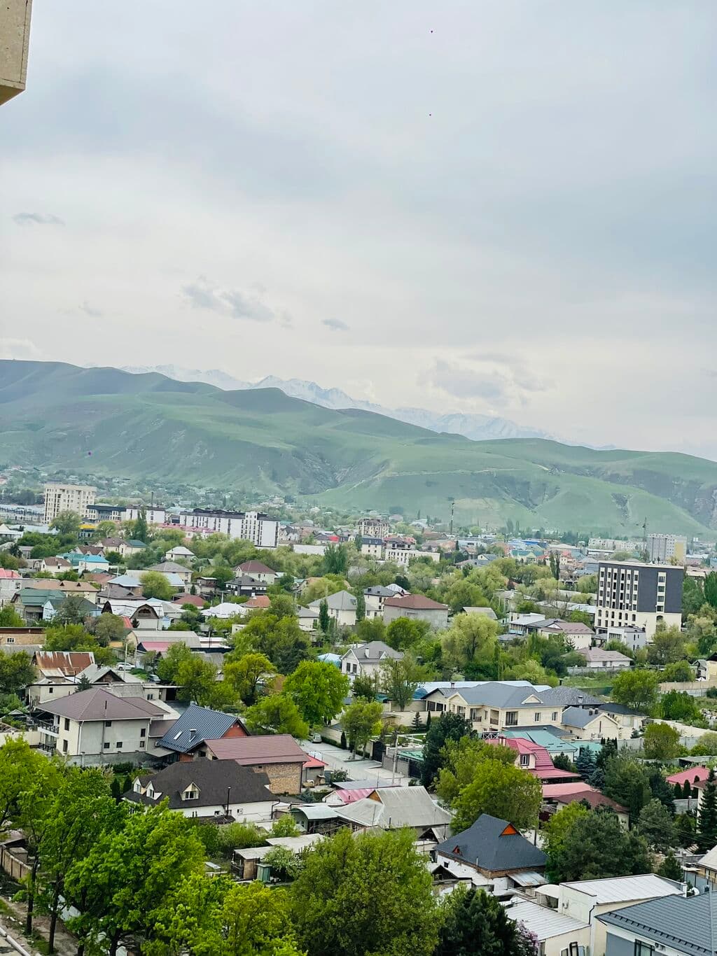 Элитка, 5 ком, 225 м2, этаж 14/14, ж/к Южный Квартал, Сост: Сдан ПСО - фото 6