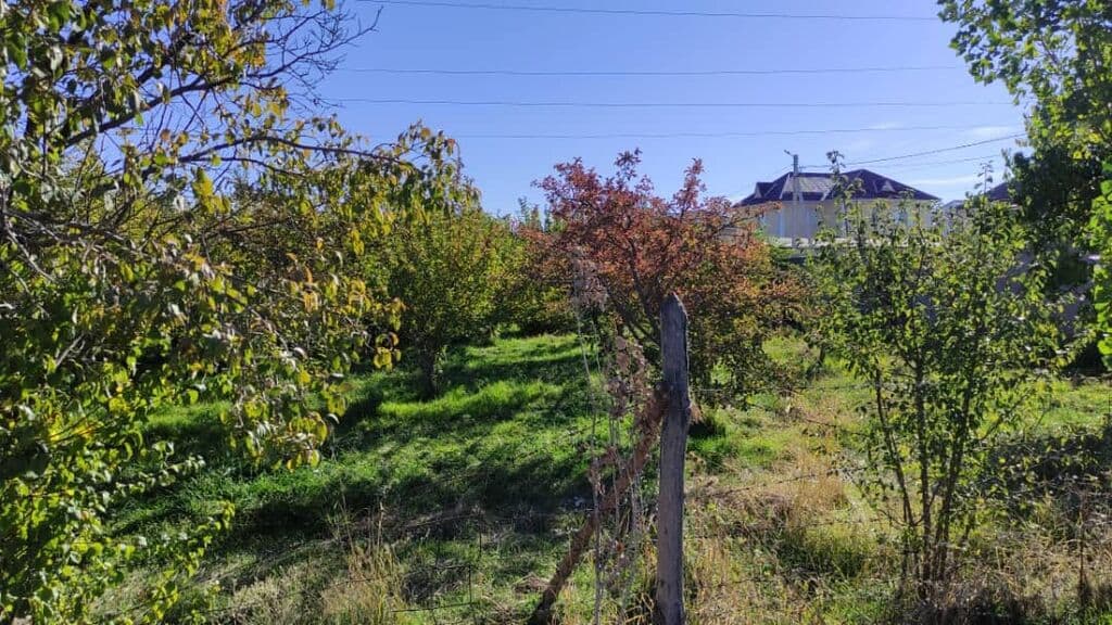 Продажа, Участок, 6 соток - фото 3