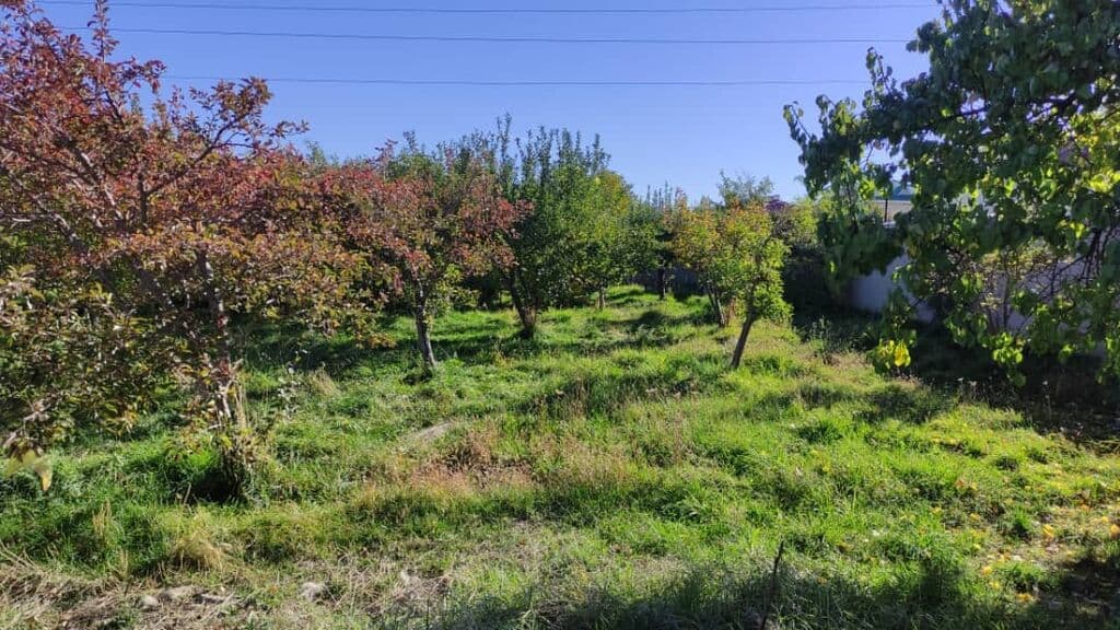 Продажа, Участок, 6 соток - фото 4