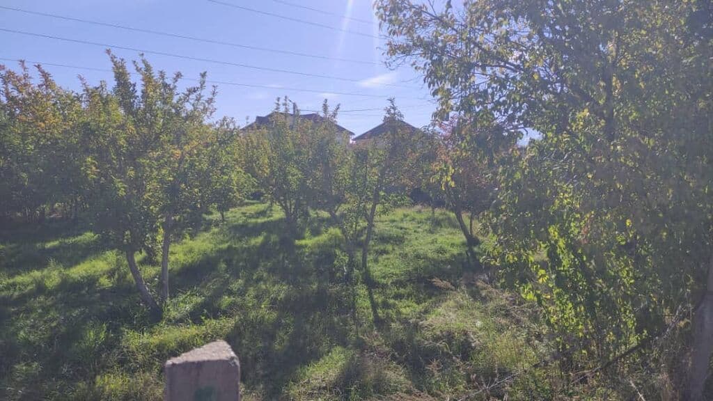 Продажа, Участок, 6 соток - фото 5
