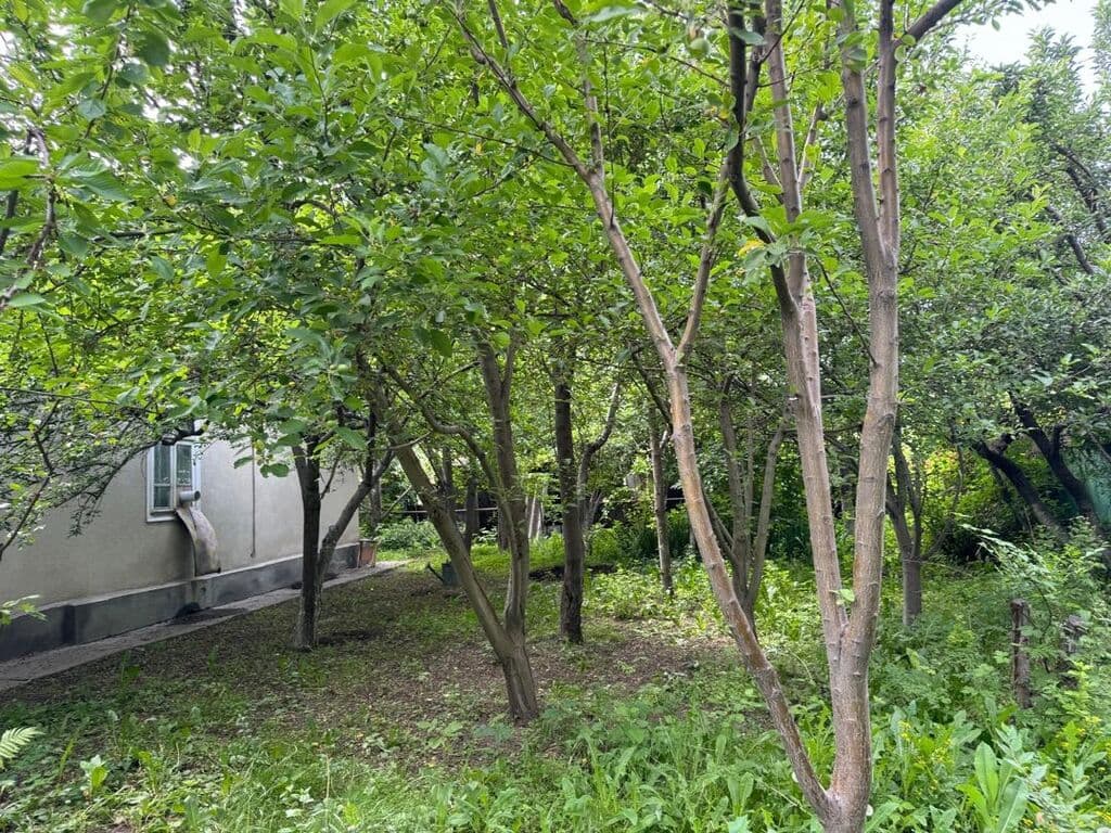 Продажа, Дом, 3 ком, 8 соток - фото 3