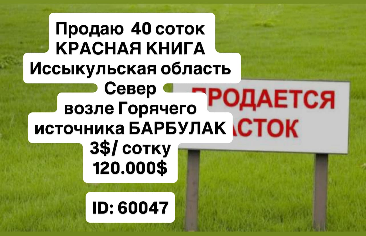 Участок, 40 соток - фото 1