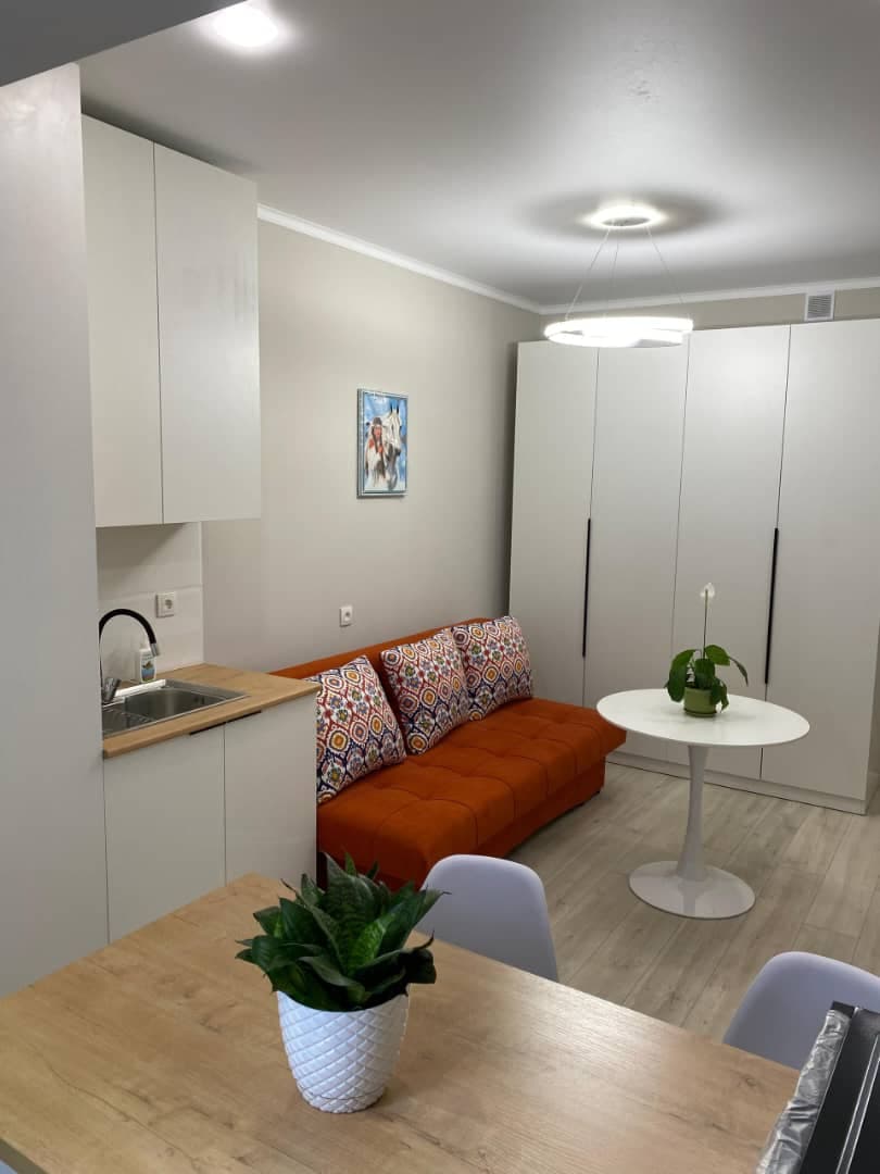 Элитка, 1 ком, 26.5 м2, этаж 3/10, ж/к Aalam City, Сост: Евроремонт - фото 13