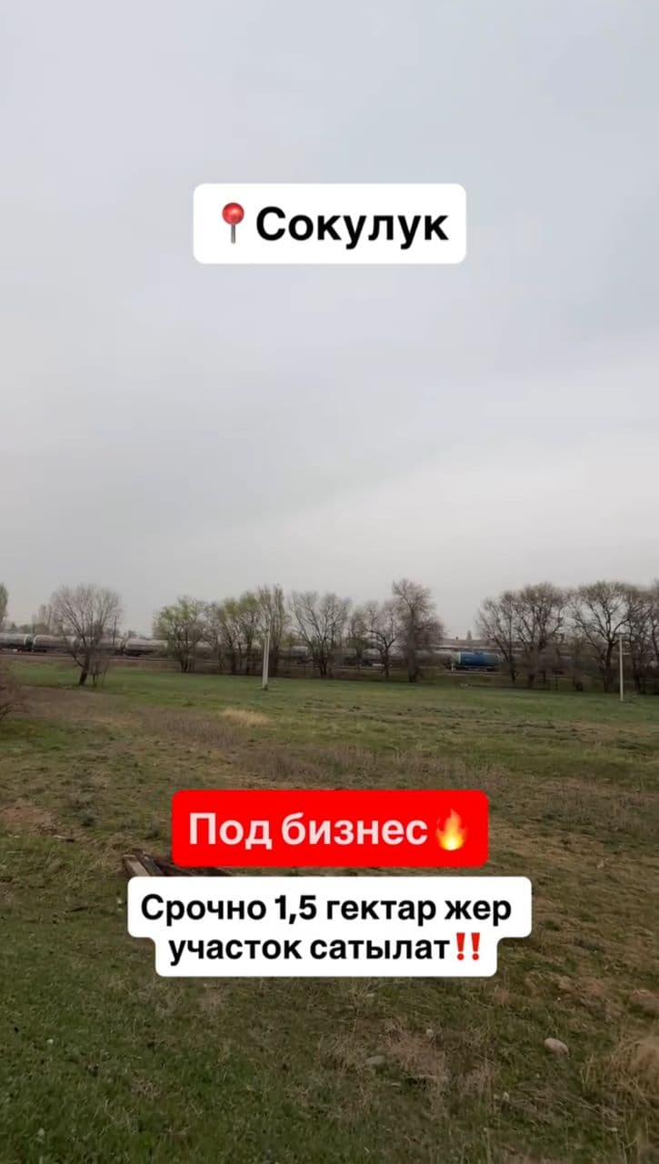 Продажа, Участок, 150 соток - фото 1