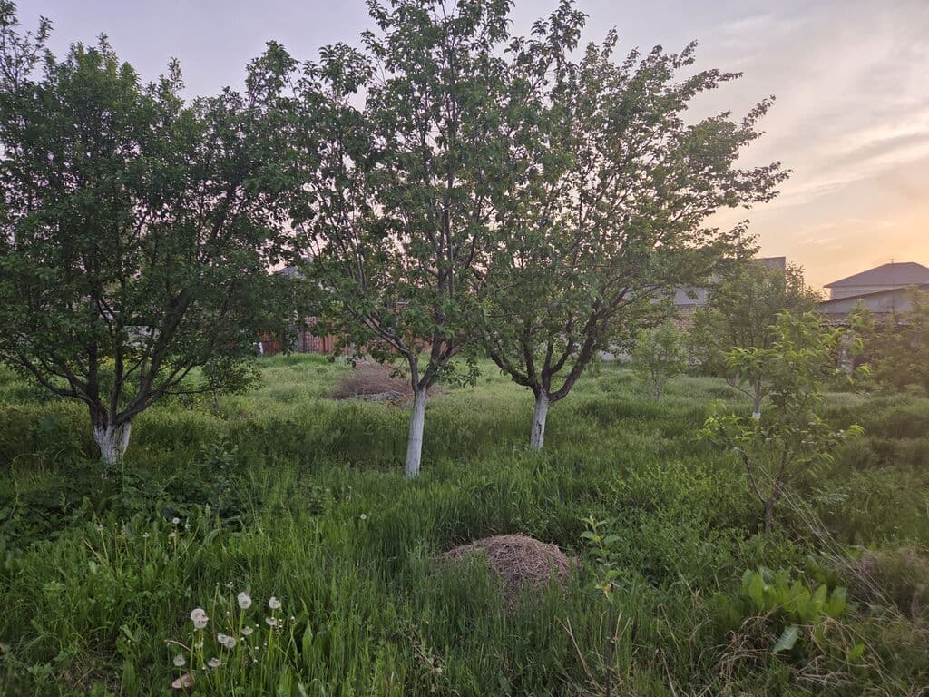 Продажа, Участок, 16 соток - фото 2