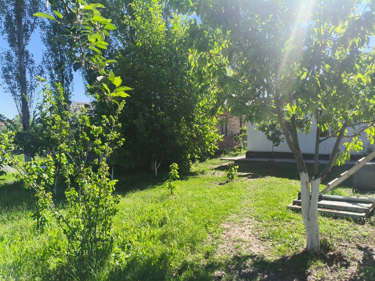 Продажа, Дом, 5 соток - фото 3
