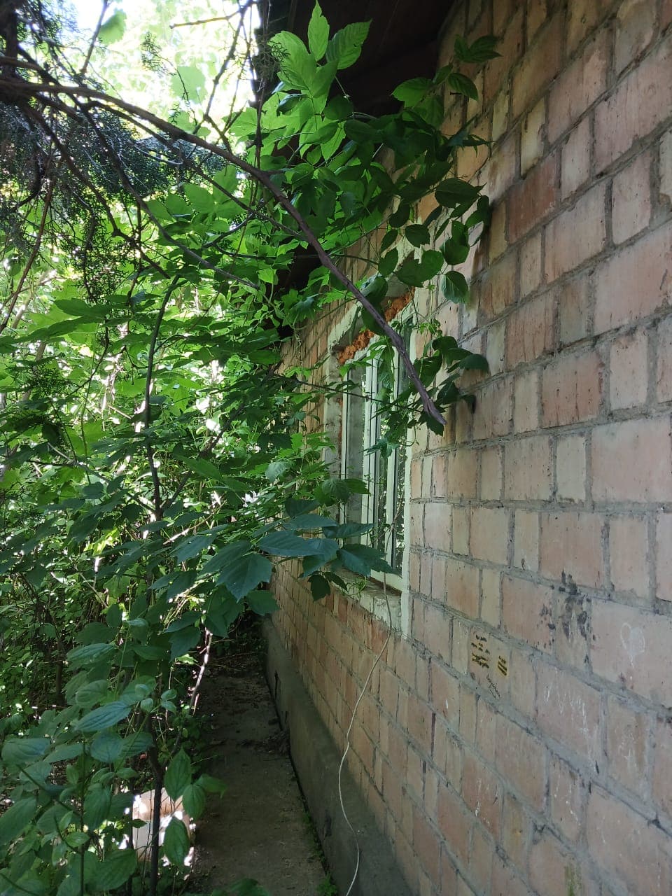 Property 90202 - Image 1
