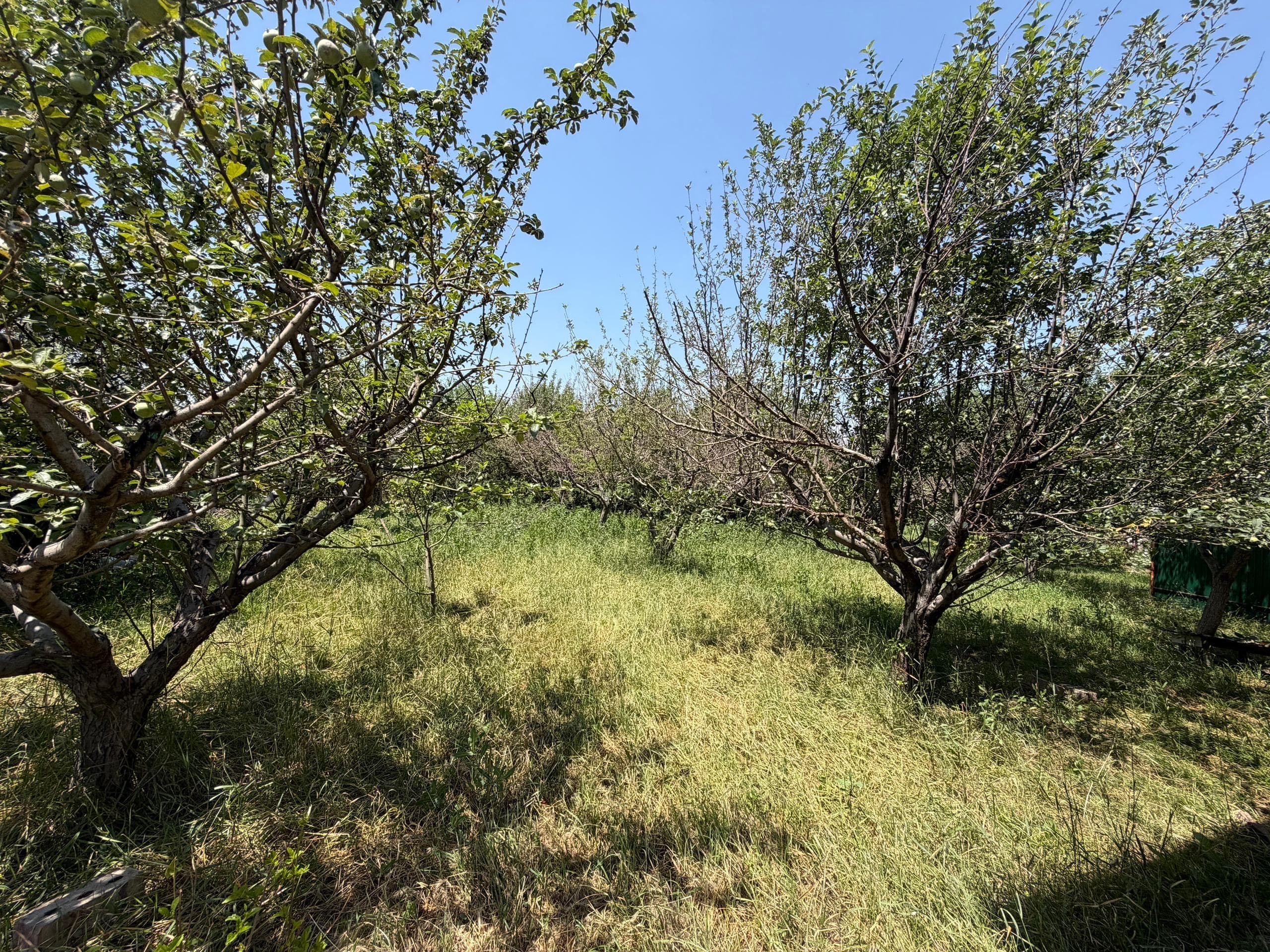 Продажа, Участок, 7 соток - фото 3